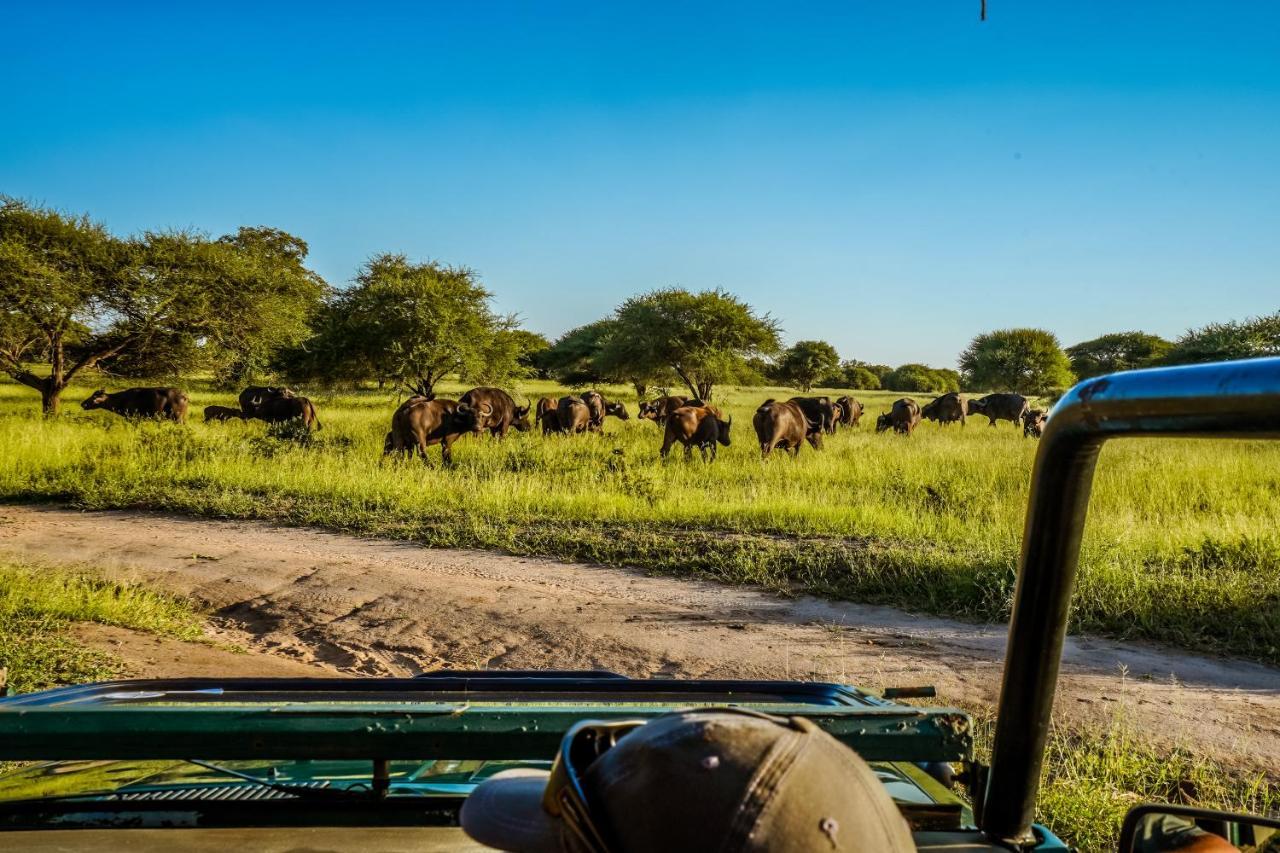Willa Africamps At Mackers Hazyview Zewnętrze zdjęcie